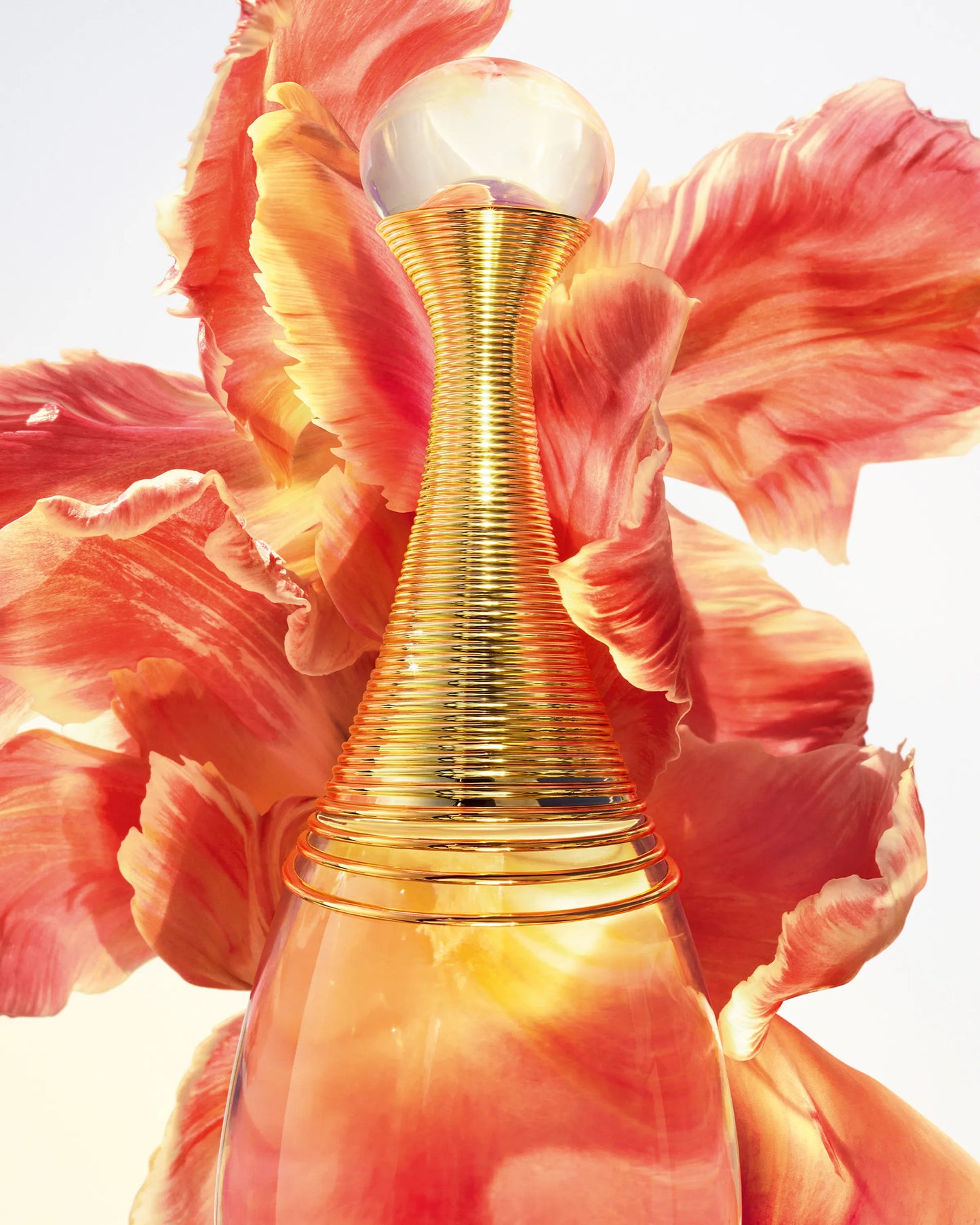 KIT 4 PERFUMES. OLYMPEA - MISS DIOR - JADORE y GOOD GIRL + 2 Regalos